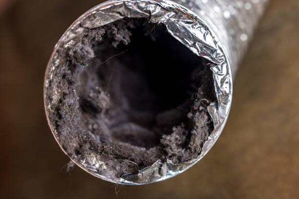 Best Affordable Air Duct Cleaning  in Corvallis, MT