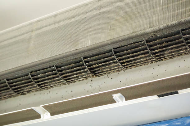 Best Local Air Duct Cleaning Services  in Corvallis, MT